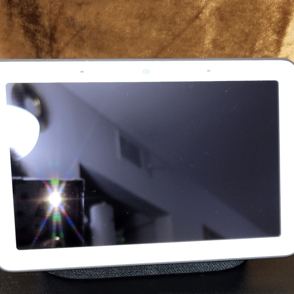 Google hub 1st generation